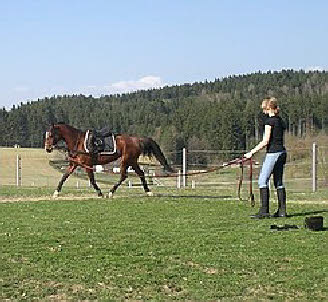 Bildergalerie Reiten