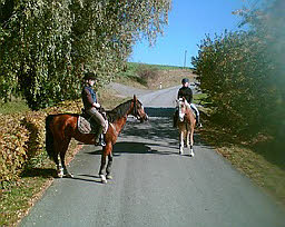 Bildergalerie Reiten